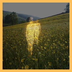 i feel i need it still (prod. shoogbeats)