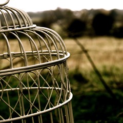 Perched (duet for drum set & percussion)