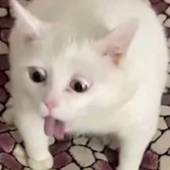 cuoi cung thi minh goi nhau là gi ?