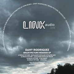 LINK014 Brain Picture Remixes (Previews)