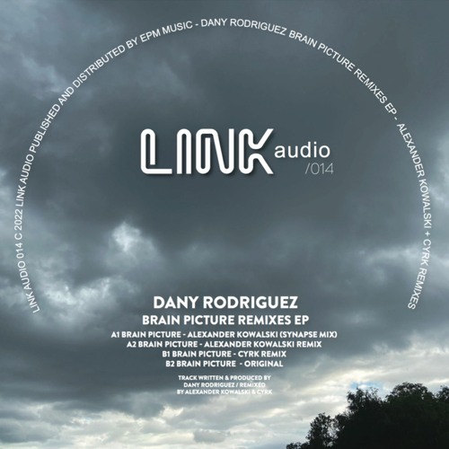 LINK014 Brain Picture Remixes (Previews)