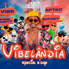 VIBELÂNDIA 😎 SPECIAL B'DAY 🎂 - DJ JADER AUGUSTO