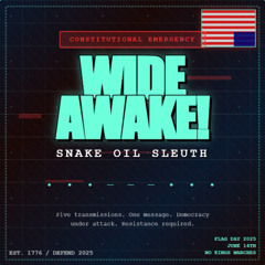 Rally-March Soundtrack (Wide Awake)