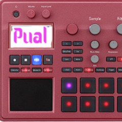 Electribe-Sampler-Bumms - Pual