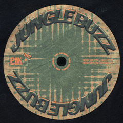 Kieran San Jose - Jungle Buzz