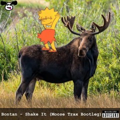 Bontan - Shake It (Moose Trax Bootleg)