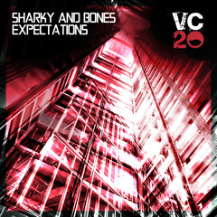 Sharky & Bones - Expectations (Radio Edit)