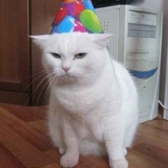 MX BDAY MIX '24 (ft. harttsick, vendr + rainn god)