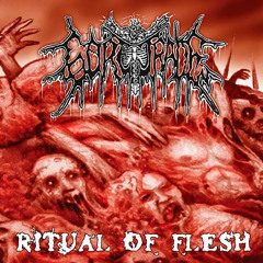 BRUTAL DEATH METAL / SLAM / GOREGRIND