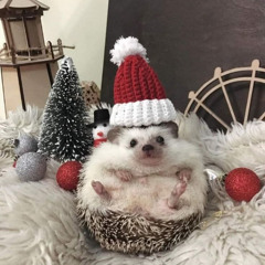 Santa’s After Dark