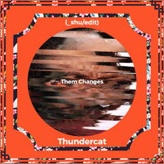 Thundercat - Them Changes (_shu/edit)