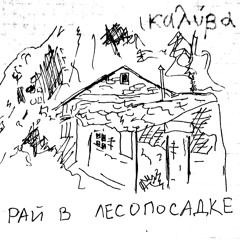 Стал Светом