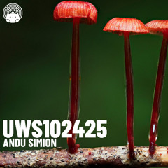 UWS102425 - Andu Simion