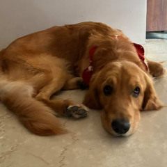 stolen moment [me + pk65]