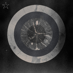 PREMIERE: Salvatore Foglia - Matter Fields Proximity [ FLASH 392 ]