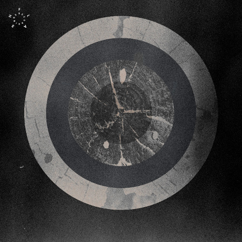 PREMIERE: Salvatore Foglia - Matter Fields Proximity [ FLASH 392 ]