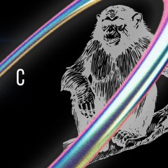 Recopilación Noviembre