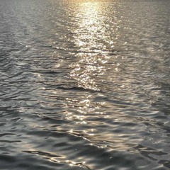 “une tristesse pesante”