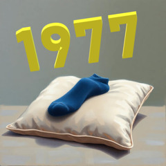 1977 right  sock