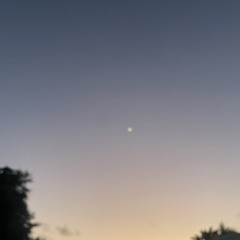 nobu woods - twenty nights(snippet)