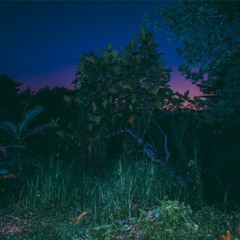 Playlist 77, May 2021