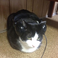 4 Channel Amigo