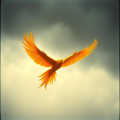 Rise and Run
