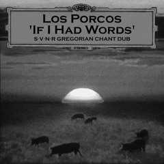 Los Porcos - If I Had Words (Gregorian Chant Dub)