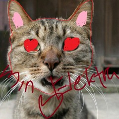 savner electra feat. gøgskalgokke (prod. eeryskies.)