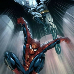Batman n spiderman duo