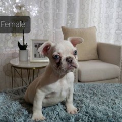 206Sick_0215a_Master_1.mp3