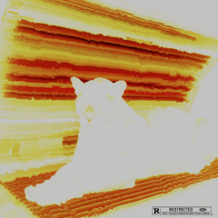 247/365 (Prodbyenikaay)