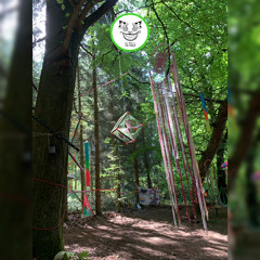 NiBo @Es Knallt im Wald - Mystic Forest 2 \\ 05.08-07.08.2022 \\ 135-140BPM