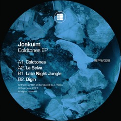 Late Night Jungle (REPERTOIRE 028)