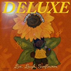 A Moment Of Transparency