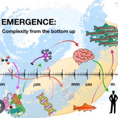The.Emergence.Ov.Excellence (Prod. MadHops) instrumental