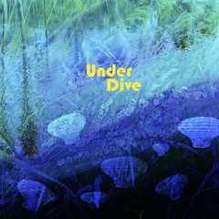 UnderDive 11.04.2025