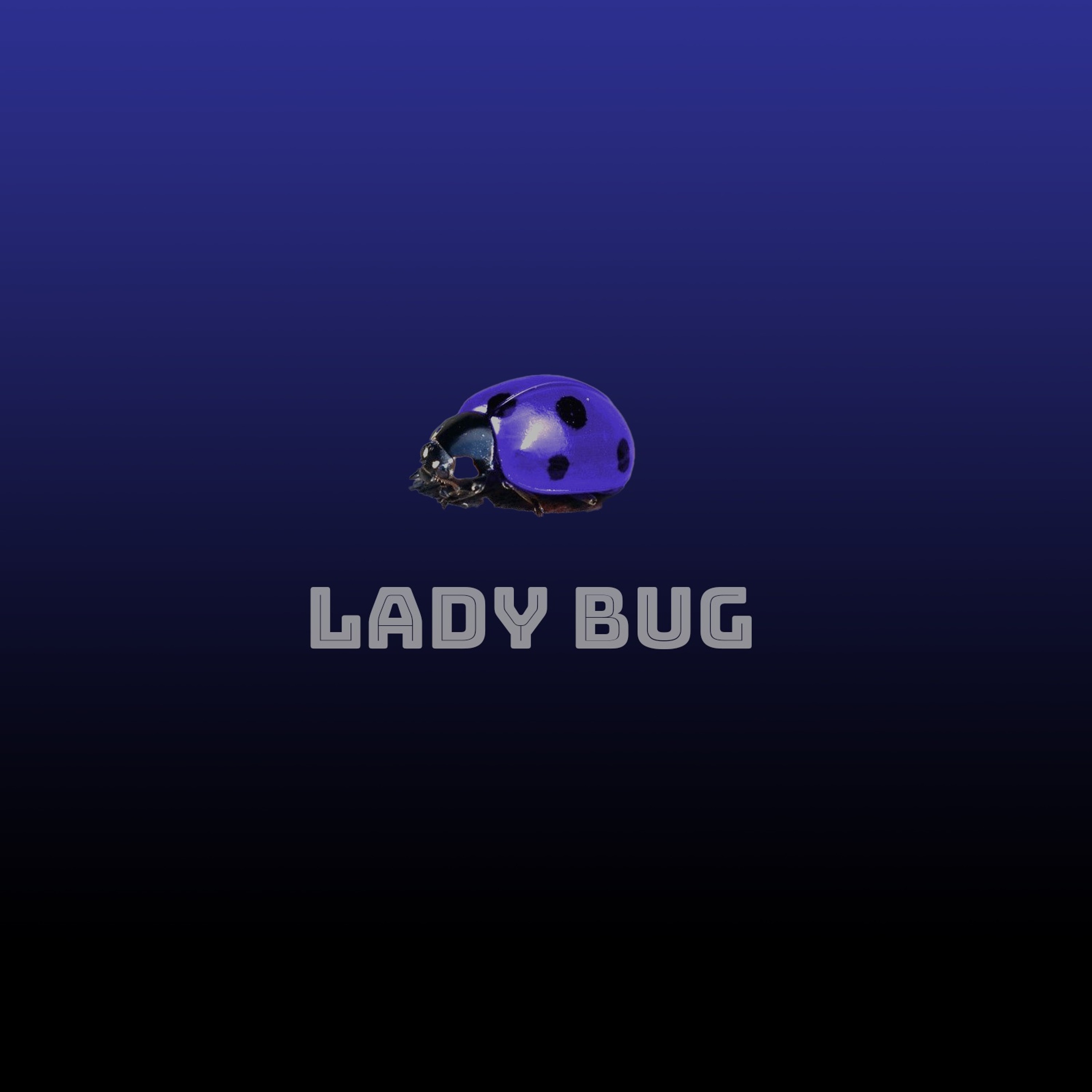 Lady Bug episode artwork