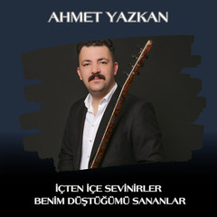 İçten İçe Sevinirler Benim Düştüğümü Sananlar