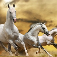White Horses