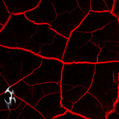 Alex Cuadras - Get My Love [NOIR SOUND Ø BERLIN]