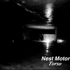 Nest Motor Torso - Unfilled 1