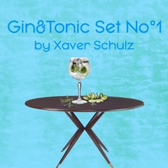 Gin&Tonic Set No.1 | Tech House | Xaver Schulz