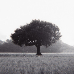 Purpeel - Bygone [best part looped]