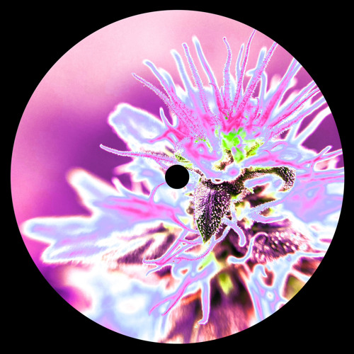 🫧technoid mind bender🫧