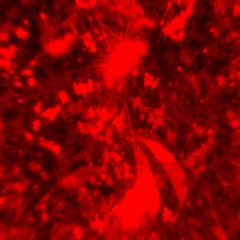 Chamber of Chaos (Original Mix)