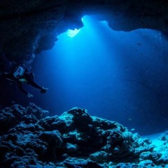 36,201 FT Below (preview)