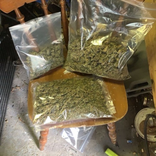 Itzlildrench- my plug