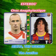 ⚽2007-2011⚽ ESTE x BOGDAN - Choc Anaphylactique ⁓ MASHUP ⁓ NIKITA, THE WICKED - The Auction