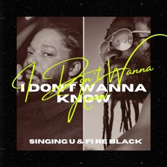 I Don´t Wanna Know